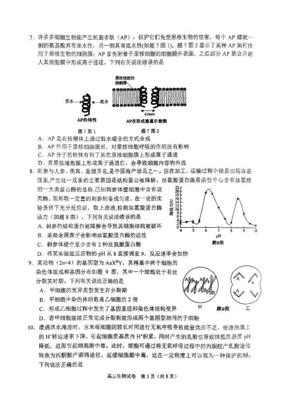 重庆主城五区高三期中生物.pdf_第3页