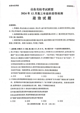 山东省名校考试联盟2024年12月高三阶段性检测政治_政治试卷.pdf