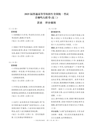11月青桐鸣大联考（高三）  历史评分细则.pdf