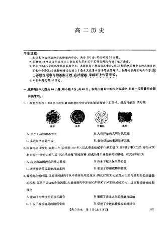 河南省南阳市九师联盟2024-2025学年高二下学期6月期末考试历史试题（含答案）.pdf