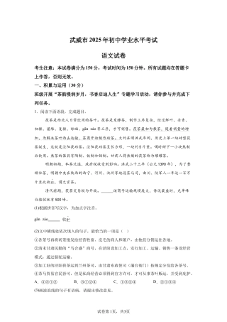 2025年甘肃省武威市中考语文真题试卷（含解析）.docx