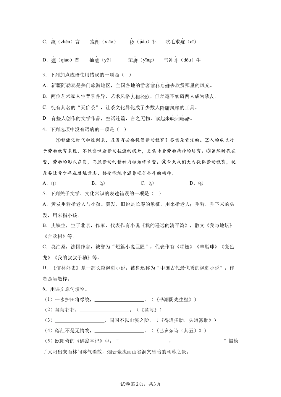 2025年黑龙江省大庆市中考语文真题试卷-A4（含答案）.docx_第2页