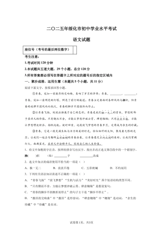 2025年黑龙江省绥化市中考语文真题试卷（含解析）.docx