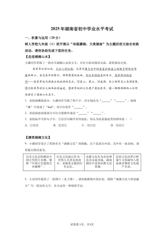 2025年湖南省中考语文真题试卷（含解析）.docx