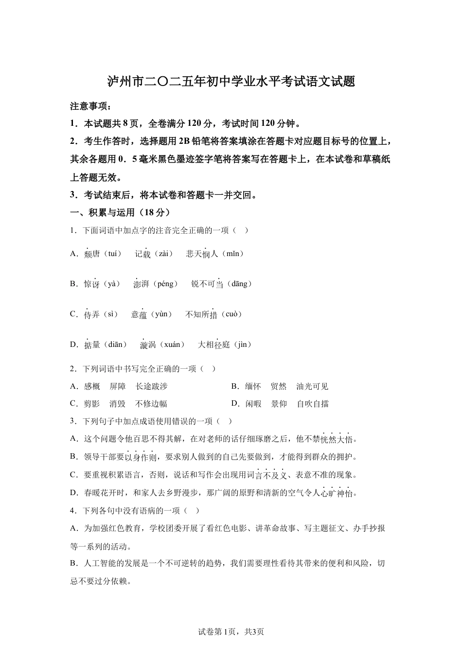 2025年四川省泸州市中考语文真题试卷及答案解析.docx_第1页