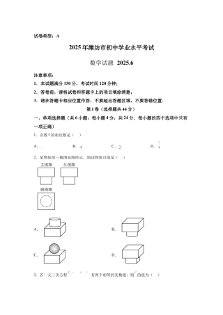 2025年山东省潍坊市中考真题数学真题试卷（含答案解析）.docx