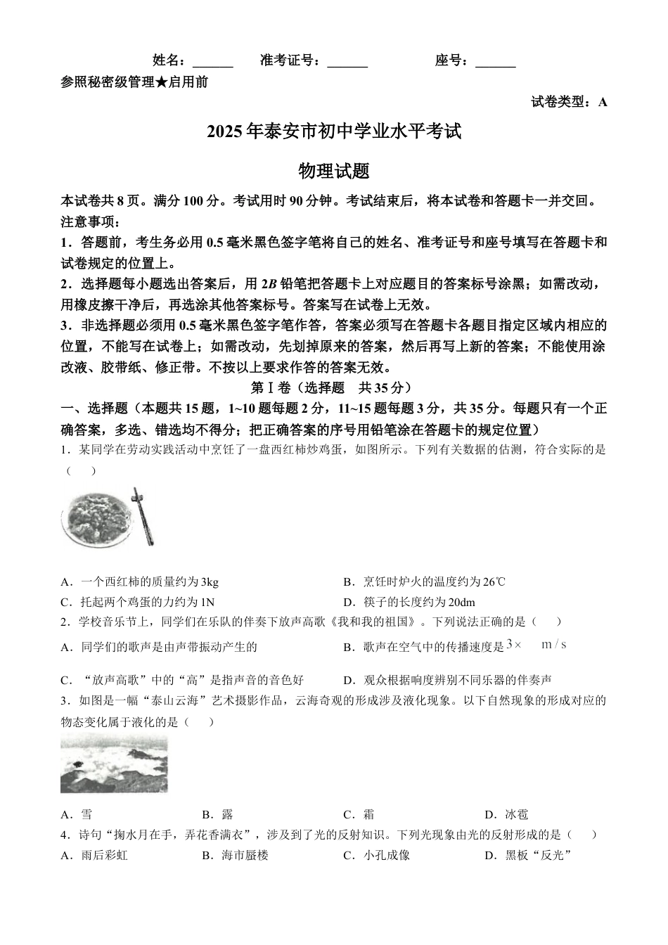 2025年山东省泰安市中考物理真题试卷及解析.docx_第1页