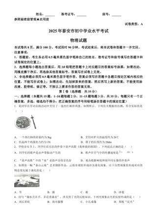 2025年山东省泰安市中考物理真题试卷及解析.docx