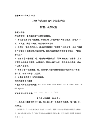 2025年湖北省武汉市中考理综物理试题-真题试卷及参考答案.docx