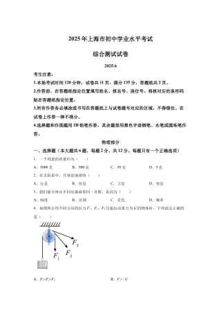 2025年上海市中考物理真题试卷及解析.docx