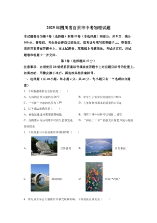 2025年四川省自贡市中考物理真题试卷及解析.docx