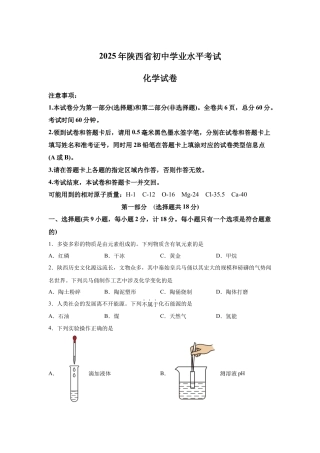 2025年陕西省中考化学真题试卷.docx