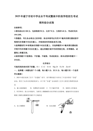 2025年四川省遂宁市中考化学真题试卷.docx