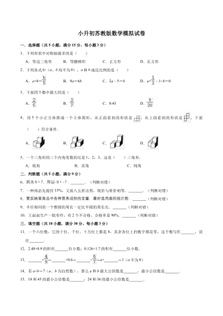 小升初数学模拟试题（12）苏教版（含解析）.docx