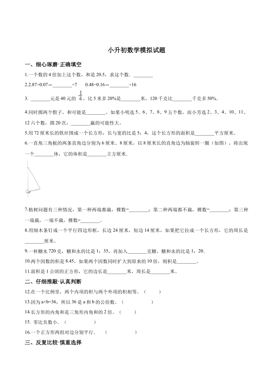 小升初数学模拟试题（19）苏教版（含解析）.docx_第1页