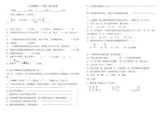 六年级(人教版新课标)数学下册期中试卷.docx