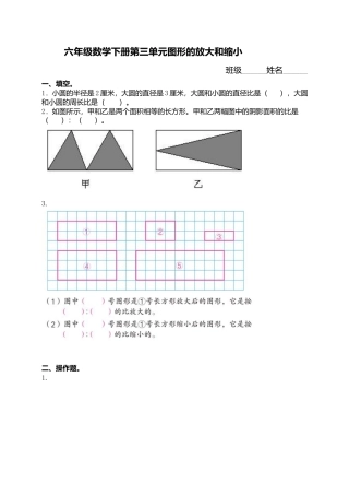 六年级数学下册图形的放大和缩小练习题.docx