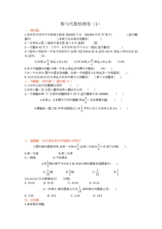 小学数学六下-数与代数检测卷（1）.docx