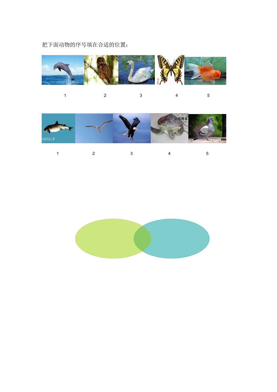 小学数学三年级上-数学广角集合练习.docx_第2页