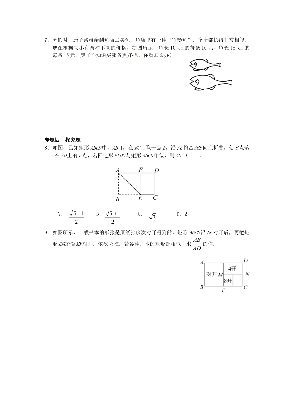 人教9年级数学下-27.1 图形的相似同步练习3 新人教版.doc_第2页