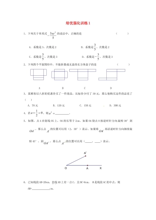 数学七年级上-培优强化训练1 新人教版.doc