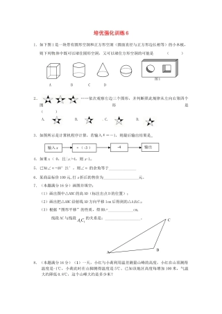 数学七年级上-培优强化训练6 新人教版.doc