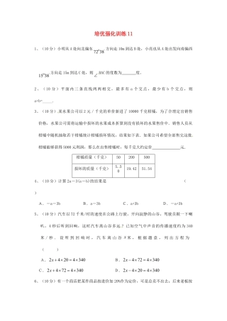 数学七年级上-培优强化训练11 新人教版.doc