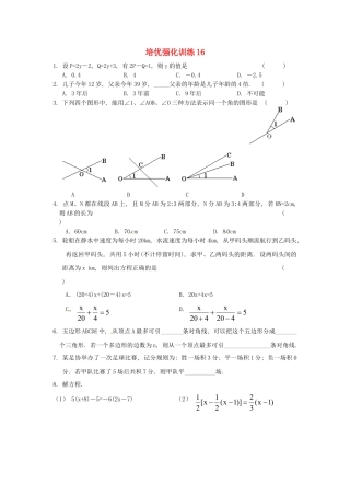 数学七年级上-培优强化训练16 新人教版.doc