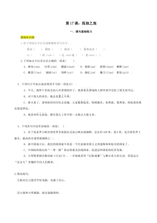 第17课：孤独之旅-九年级上册语文一课三练习题精编（部编版）.docx