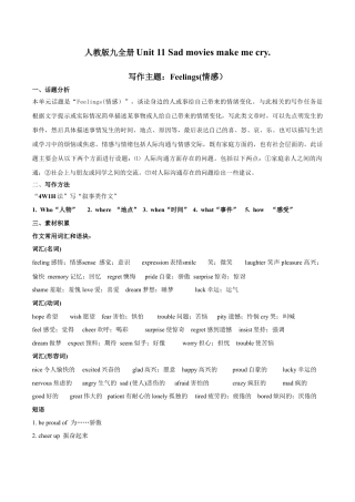 人教新目标九年级英语专题11 九全Unit11写作主题：情感（人教版）.docx