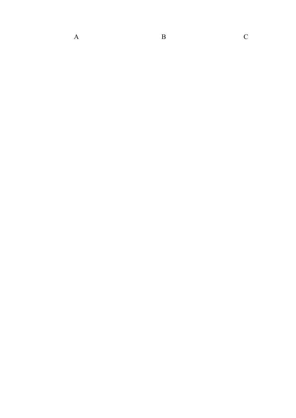 人教新目标七年级上学期期末考试英语试题.doc_第2页