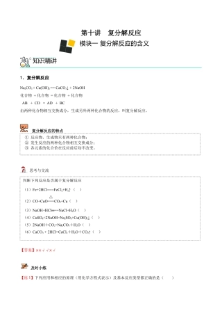 九年级化学下册-第10讲 复分解反应 （解析版）.docx