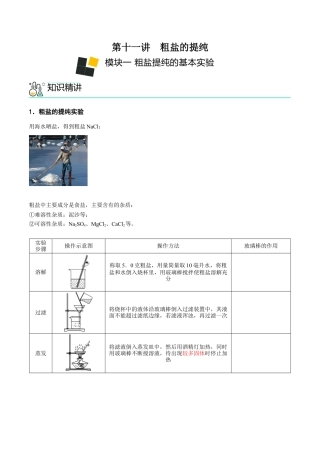 九年级化学下册-第11讲 粗盐中难溶性杂质的去除（原卷版）.docx