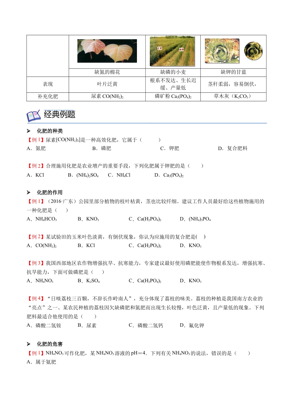 九年级化学下册-第12讲 化学肥料（原卷版）.docx_第2页