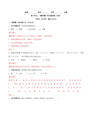 九年级化学下册-第十单元 酸和碱单元测试卷（B卷提升篇）（解析版）.docx