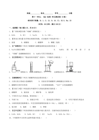 九年级化学下册-第十一单元 盐 化肥单元测试卷（B卷提升篇）（原卷版）.docx