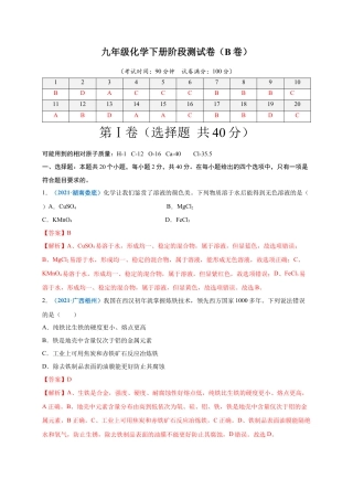 九年级化学下册-阶段测试卷（B卷）（人教版）（解析版）.docx