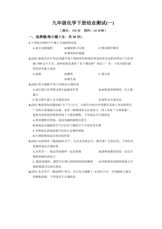 九年级化学下册结业测试（一）.docx