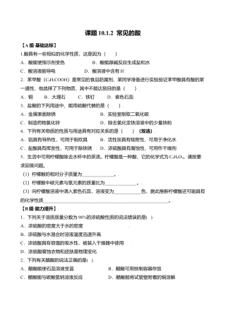 课题10.1.2 常见的酸-九年级化学下册同步分层作业（人教版）.docx