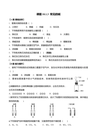 课题10.1.3 常见的碱-九年级化学下册同步分层作业（人教版）.docx