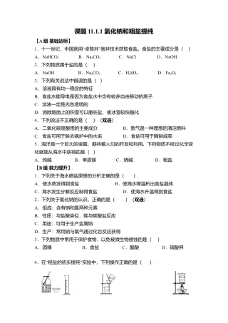 课题11.1.1 氯化钠和粗盐提纯-九年级化学下册同步分层作业（人教版）.docx