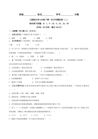人教版化学九年级下第一次月考模拟卷（二）（原卷版）.docx