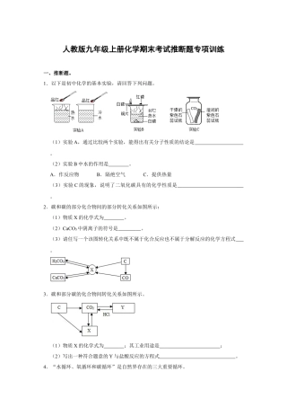 人教版九年级上册化学期末考试推断题专项训练（原题卷）.docx