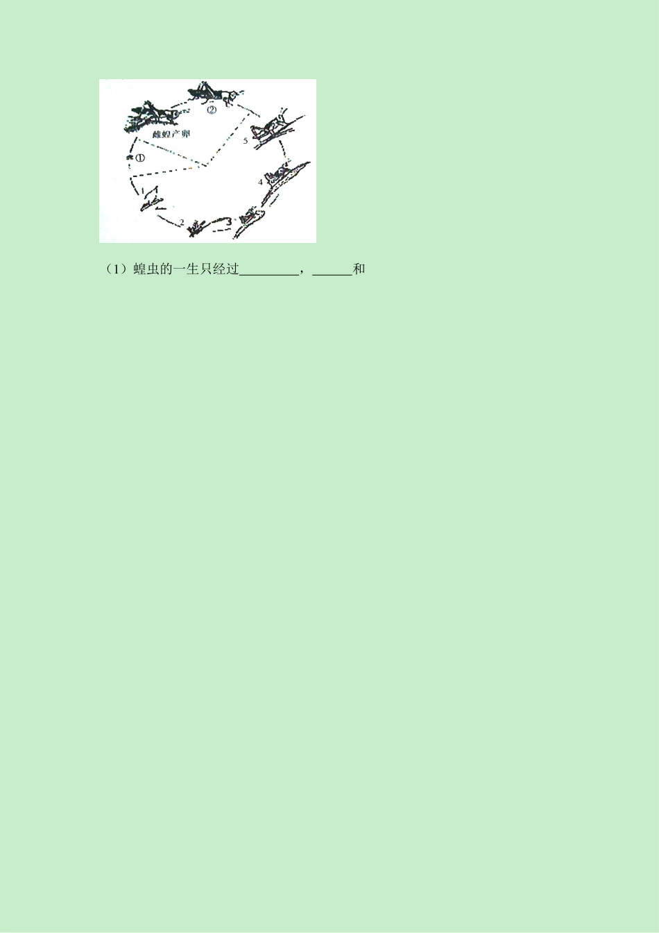 《昆虫的生殖和发育》同步练习-人教生物八年级下.docx_第2页