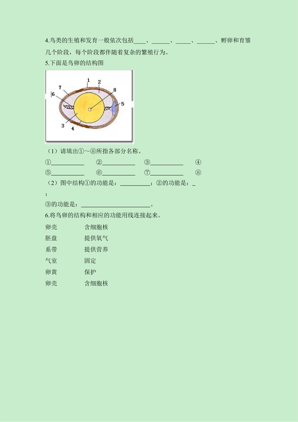 《鸟的生殖和发育》同步练习-人教生物八年级下.docx_第2页