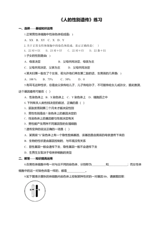 八下第七单元第二章第四节《人的性别遗传》同步练习（含答案）.docx