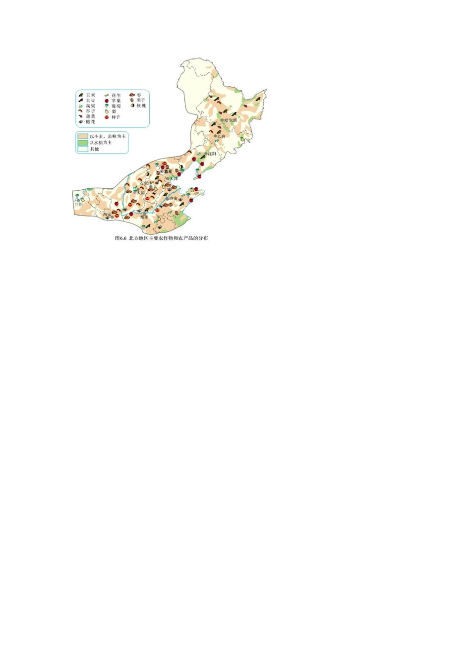 人教版八年级下册第六章第一节自然特征与农业导学案.docx_第3页