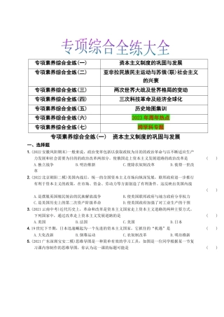 九年级历史下册试卷-专项综合全练七则.docx