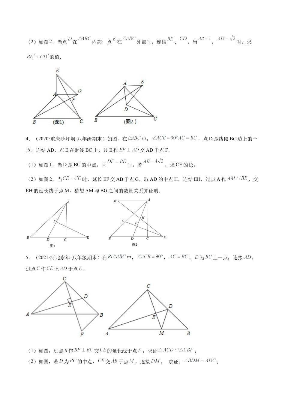 专练10 几何压轴大题（10题） -八年级数学上学期期末考点必杀200题（北师大版）（原卷版）.docx_第2页