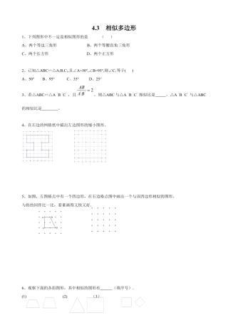 北师大版初中数学九上同步练习-4.3  相似多边形2.docx
